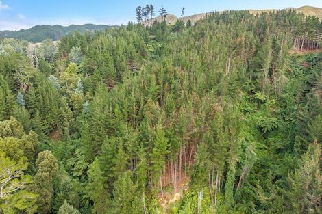 Photo of property in 132 Mangaone Road, Hautere, Otaki, 5582