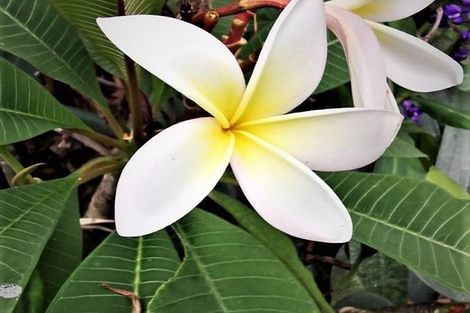 Photo of property in 28 Matakohe Road East, Matakohe, 0593