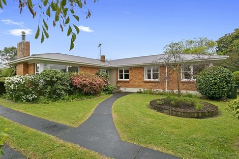 Photo of property in 23 Alpha Street, Cambridge, 3434