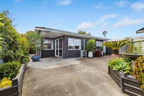 Photo of property in 42 Treadwell Street, Springvale, Whanganui, 4501