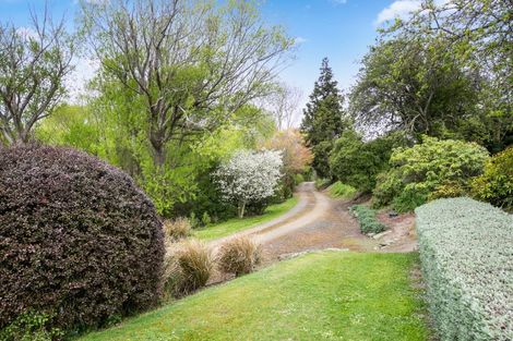 Photo of property in 85 Formby Street, Outram, 9019