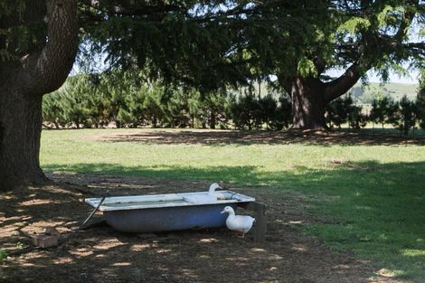 Photo of property in 1/3389 State Highway 2, Takapau, 4281