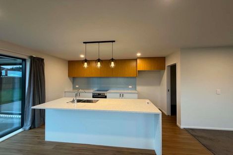 Photo of property in 58e Ashbury Drive, Tinwald, Ashburton, 7700