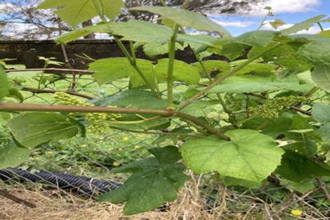 Photo of property in 3353 Mangakahia Road, Pakotai, Whangarei, 0172