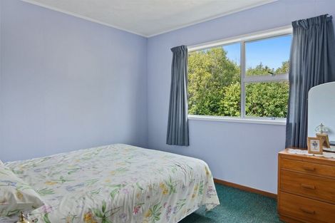 Photo of property in 7 Hutson Street, Toi Toi, Nelson, 7010