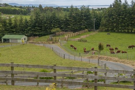 Photo of property in 649f Esdaile Road, Whakamarama, Tauranga, 3180