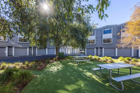 Photo of property in 8 Dovedale Place, Parnell, Auckland, 1010