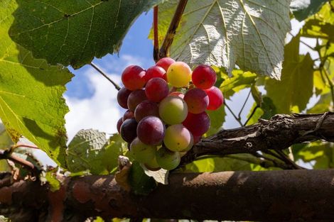 Photo of property in 810 Waiterimu Road, Waiterimu, Ohinewai, 3784