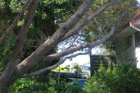 Photo of property in 45 Brigantine Drive, Beach Haven, Auckland, 0626