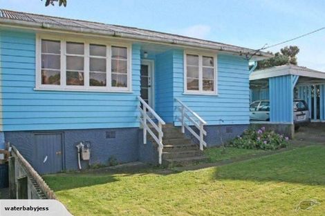 Photo of property in 46 Raukawa Street, Strathmore Park, Wellington, 6022