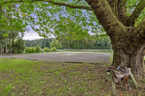Photo of property in 248a Tauwhare Road, Tamahere, Hamilton, 3283