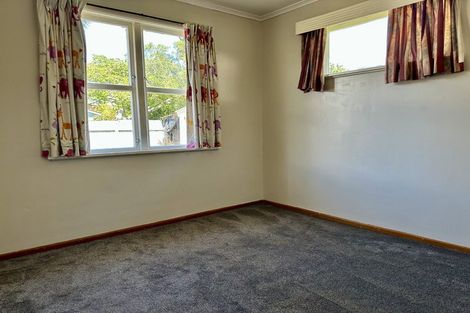 Photo of property in 20 Mckenzie Street, Levin, 5510