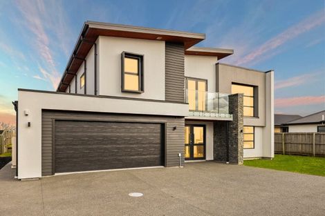 Photo of property in 29 Lotus Place, Wigram, Christchurch, 8025