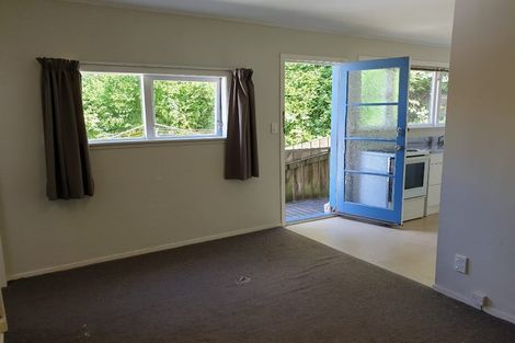 Photo of property in 45 Adams Terrace, Aro Valley, Wellington, 6021