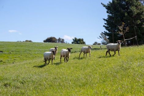 Photo of property in 91 Chester Park Drive, West Taratahi, Carterton, 5791