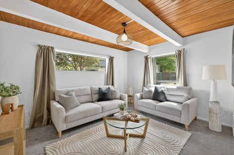 Photo of property in 3a Amstel Lane, Richmond, Christchurch, 8013