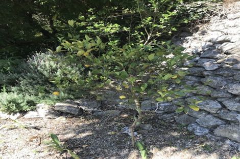 Photo of property in 1 Durham Street, Aro Valley, Wellington, 6021