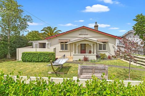 Photo of property in 29 Carlton Road, Pukekohe, 2120