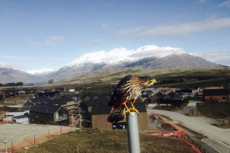 Photo of property in 21 Falconer Rise, Jacks Point, Queenstown, 9371