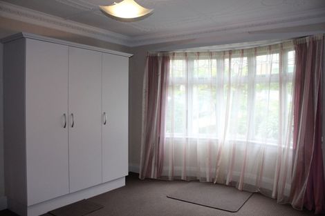 Photo of property in 113 Signal Hill Road, Opoho, Dunedin, 9010