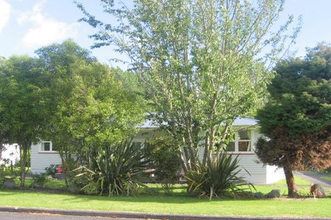 Photo of property in 17 Tumoana Street, Taumarunui, 3920