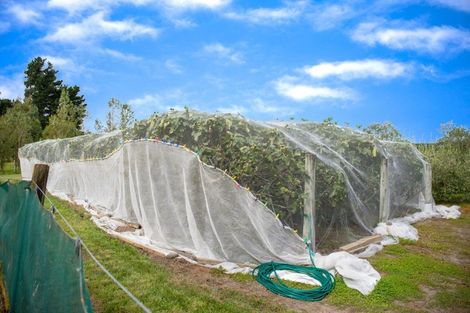 Photo of property in 16 Campbell Drive, Martinborough, 5711