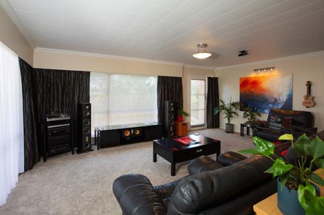 Photo of property in 161 Newcastle Road, Nawton, Hamilton, 3200