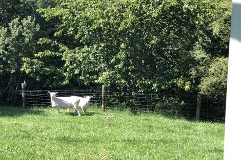 Photo of property in 26 Whangarata Road, Tuakau, 2121