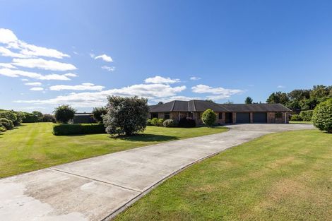 Photo of property in 38 Pohutukawa Drive, Levin, 5571