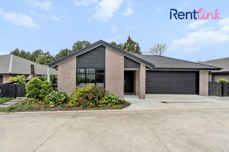 Photo of property in 11 Clover Lane, Pyes Pa, Tauranga, 3112