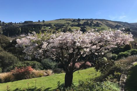 Photo of property in 8 Ribbonwood Close, Normanby, Dunedin, 9010