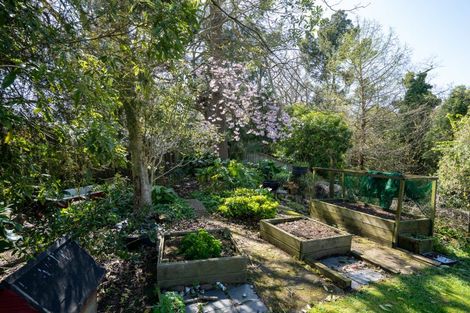 Photo of property in 5 Blairgowrie Place, Leamington, Cambridge, 3432