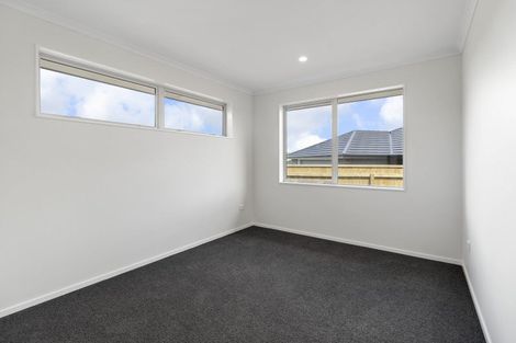 Photo of property in 118 Hitchen Road, Pokeno, 2402