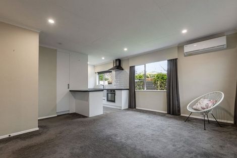 Photo of property in 12d Colombo Street, Hokowhitu, Palmerston North, 4410