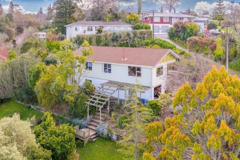 Photo of property in 6 Domain Road, Waipawa, 4210