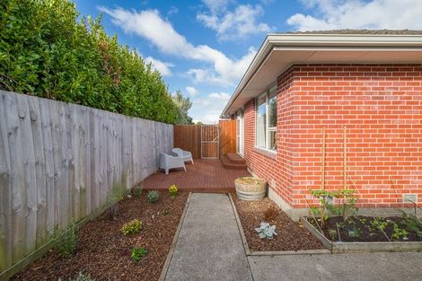 Photo of property in 2/131 Springfield Road, St Albans, Christchurch, 8014