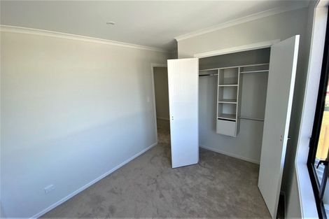 Photo of property in 43a Lake Crescent, Hamilton Lake, Hamilton, 3204