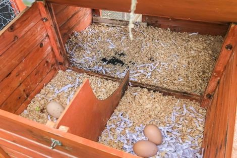 Photo of property in 261 Te Moana Road, Waikanae, 5036