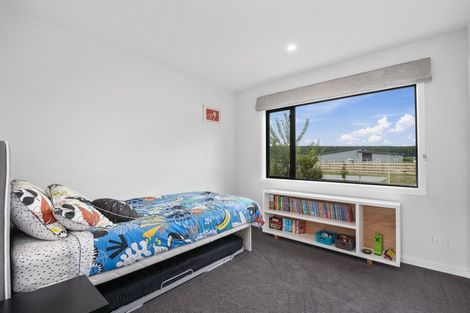 Photo of property in 52 John Norrie Place, Motuoapa, Turangi, 3382