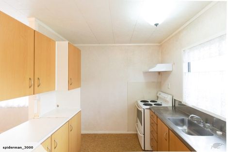 Photo of property in 21 Tudor Road, Henderson, Auckland, 0610