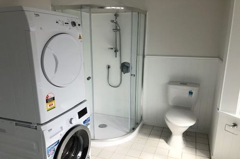 Photo of property in 164 Ulster Street, Whitiora, Hamilton, 3200