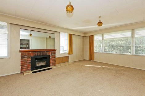 Photo of property in 905 Wentworth Street, Raureka, Hastings, 4120