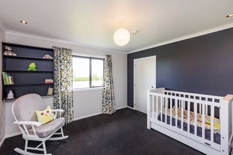 Photo of property in 707 Aranui Road, Kairanga, Palmerston North, 4475