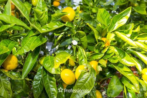 Photo of property in 1/33 Ward Street, Trentham, Upper Hutt, 5018