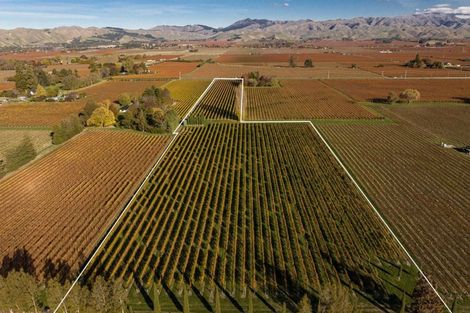 Photo of property in 322 Middle Renwick Road, Springlands, Blenheim, 7271