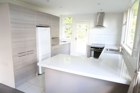 Photo of property in 56 Signal Hill Road, Opoho, Dunedin, 9010