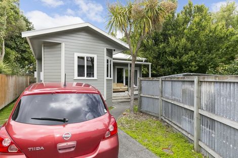 Photo of property in 19a Regent Street, Newtown, Wellington, 6021