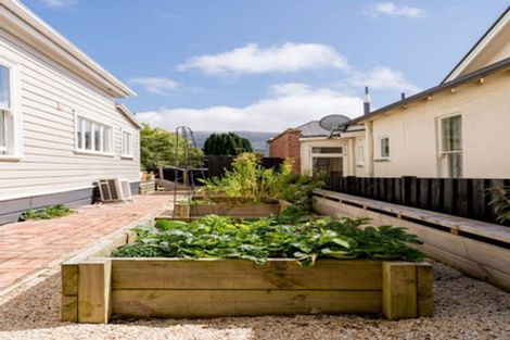 Photo of property in 615 Highgate, Maori Hill, Dunedin, 9010