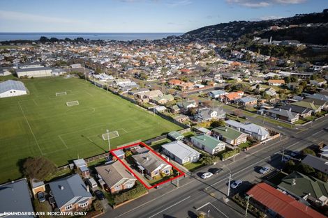 Photo of property in 253 Macandrew Road, Forbury, Dunedin, 9012