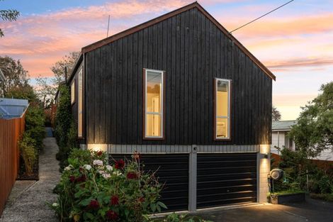 Photo of property in 50 Hawthorn Avenue, Mornington, Dunedin, 9011